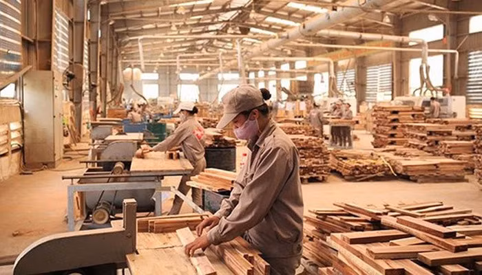 Bond de 18% des exportations de produits forestiers au premier trimestre ảnh 1