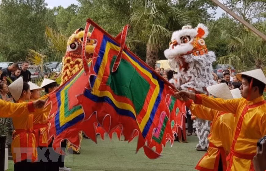 Le premier Festival du Vietnam à Lyon, en France ảnh 1