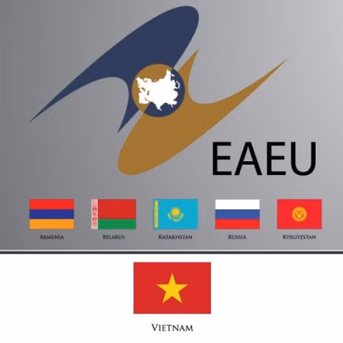 Quelles perspectives pour les relations économiques et commerciales entre le Vietnam et l’UEEA ? ảnh 1