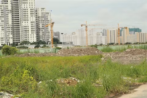 HCM-Ville : premier cas d’infection du virus Zika chez l’homme ảnh 1