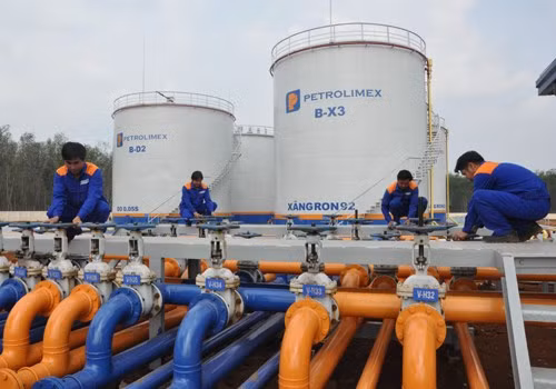 Près de 8 millions de tonnes de carburants importées au Vietnam depuis janvier ảnh 1