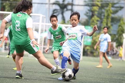 Hô Chi Minh-Ville développe la pratique du football à l'école ảnh 1
