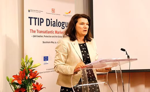 La Suède partage avec le Vietnam ses expériences en matière d’innovation ảnh 1