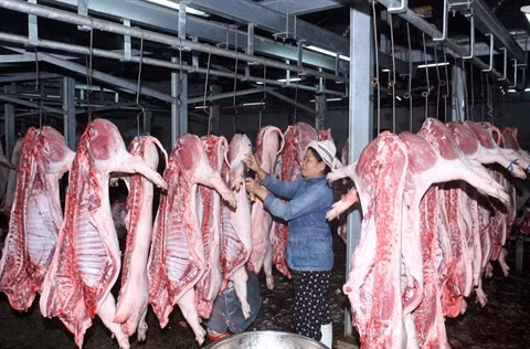 Vietnam-Pologne: coopération renforcée dans l’agroalimentaire ảnh 1