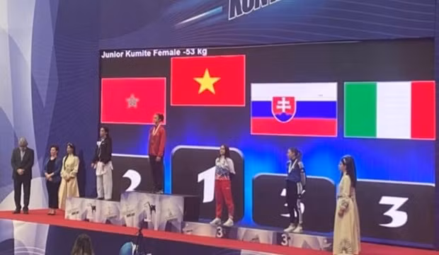 De brillants succès du Vietnam lors de compétitions d'arts martiaux mondiales ảnh 1