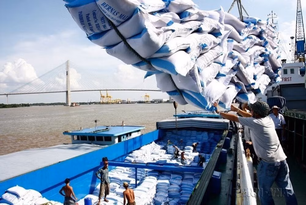 En dix mois de l'année, le pays a expédié à l’étranger 6,1 millions de tonnes de riz. Photo : VNA/CVN