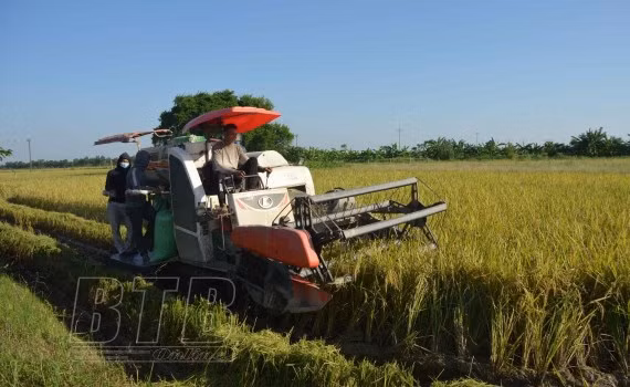 Thai Binh veut attirer les investisseurs de la Toscane en Italie ảnh 1