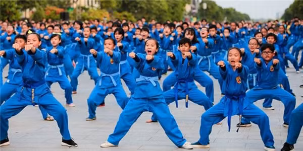 La Coupe d’ambassadeurs de vovinam a fière allure en Algérie ảnh 1