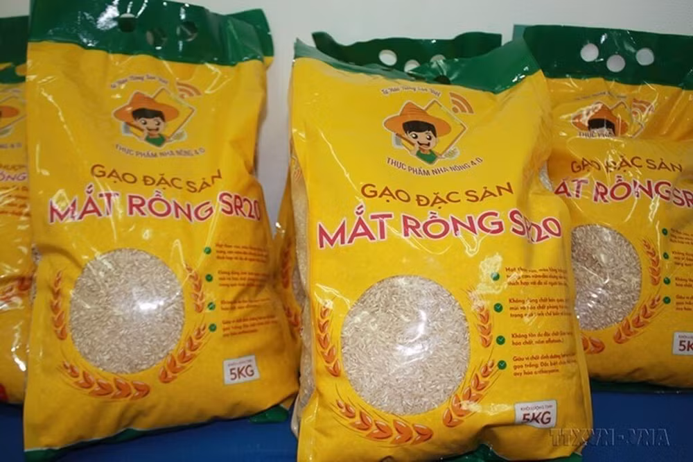 Le riz de haute qualité Mat rông SR20. Photo : VNA/CVN