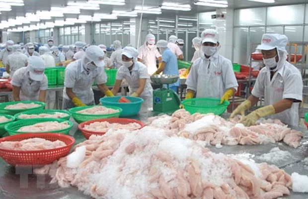 Le rythme de croissance économique du Vietnam dépasse de loin le reste de l’Asie ảnh 1
