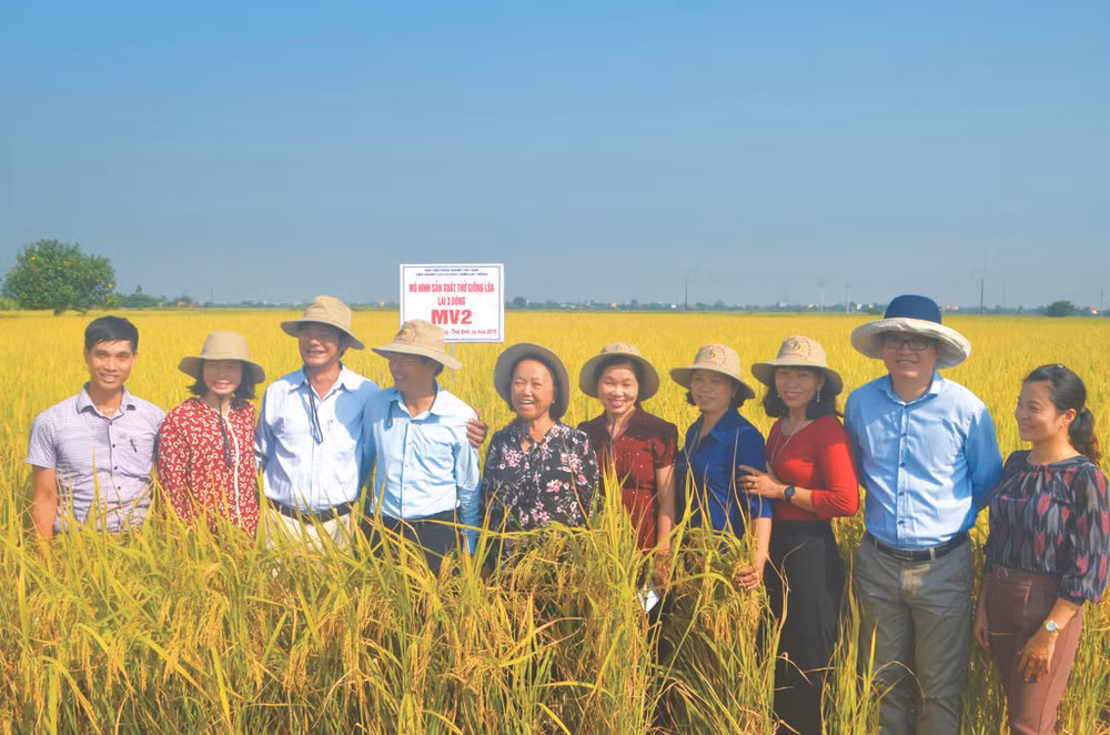 Nguyên Thi Trâm (5e à gauche) est connue comme la personne qui a vendu le plus de droits de propriété des variétés de riz hybride au Vietnam.