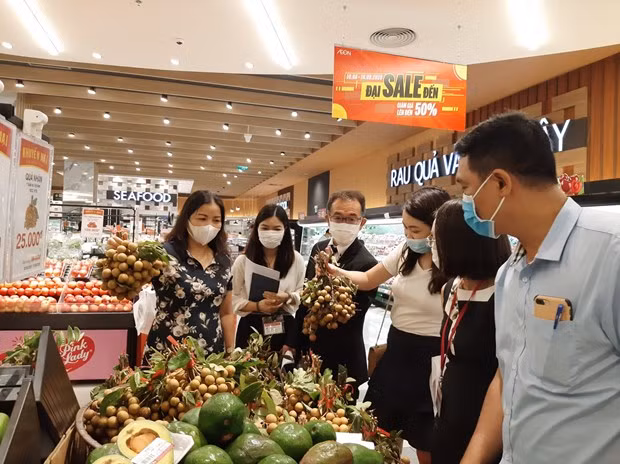 Réseaux de distribution à l'étranger, canal efficace pour promouvoir les produits vietnamiens ảnh 1