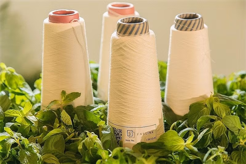 Textile-habillement : nécessité de la transformation numérique et de l’économie circulaire ảnh 1