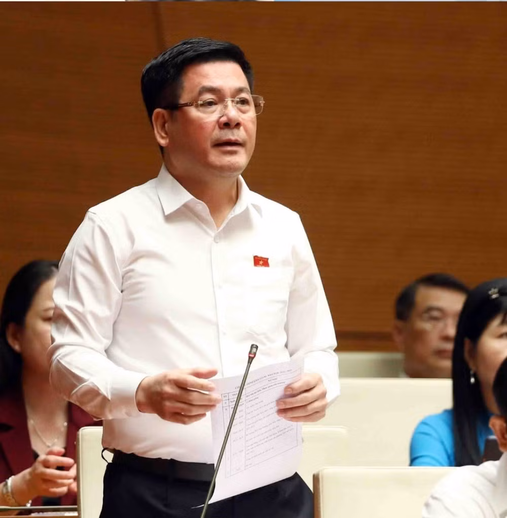 Ministre de l'Industrie et du Commerce: La taille et la capacité du marché en forte hausse ảnh 1
