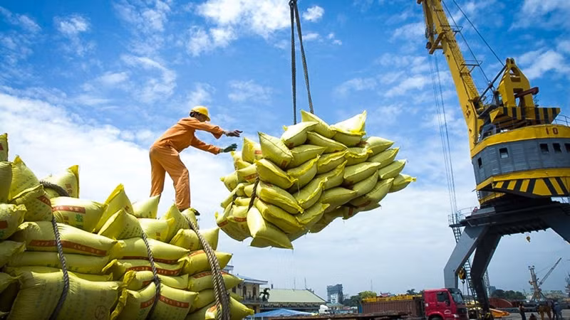 Diversifier les marchés pour développer les exportations de riz ảnh 1 Diversifier les marchés pour développer les exportations de riz ảnh 1