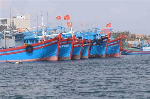 Un an après, le Vietnam espère la suppression du « carton jaune » donné par la Commission européenne à propos de la pêche INN ảnh 1