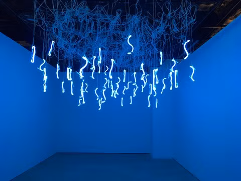 The Foliage, petit univers de l’art contemporain à Hanoi ảnh 5