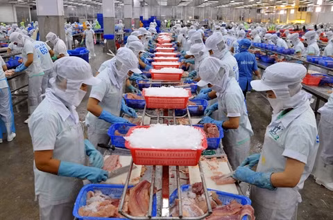 Les Etats-Unis anticipent leur programme de surveillance des pangasius vietnamiens ảnh 1