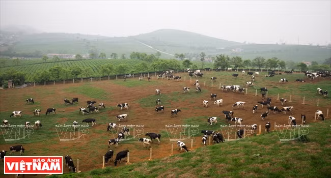 La province de Son La : un lieu, trois destinations ảnh 2