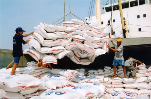 Le Vietnam exporterait 3 millions de tonnes de riz aux Philippines ảnh 1