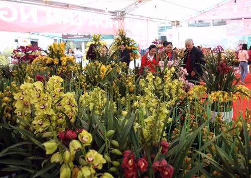 Ouverture de la foire-expo "Têt Viêt 2017" et de la foire printanière Dinh Dâu ảnh 1