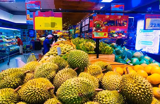 Les durians vietnamiens prennent pied en Australie ảnh 1