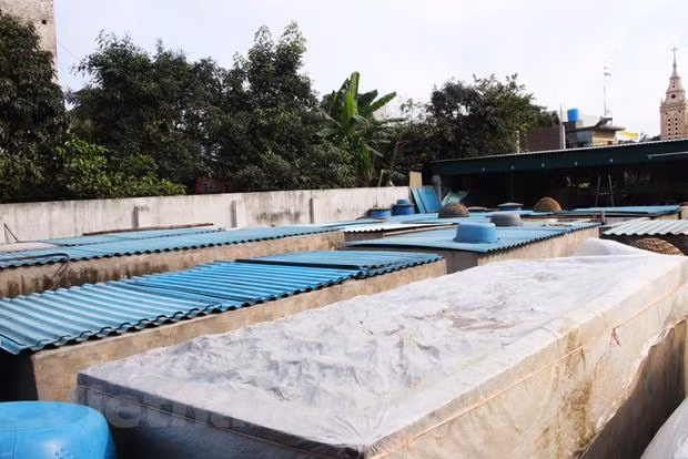 Nam Dinh : la fabrication artisanale de la saumure de poisson à Sa Chau ảnh 2