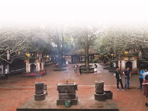 Pagode de Côn Son, un charme intemporel ảnh 1