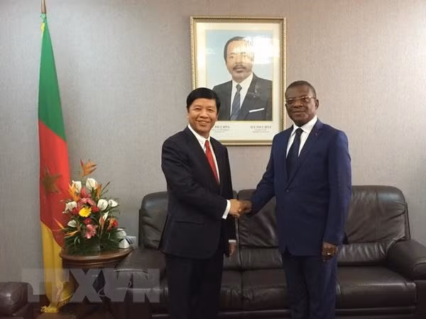 L’envoyé spécial du Premier ministre Nguyên Xuân Phuc travaille au Cameroun ảnh 1