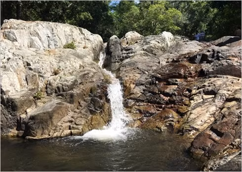 Départ en safari au Parc national de Phuoc Binh, dans le Centre ảnh 3