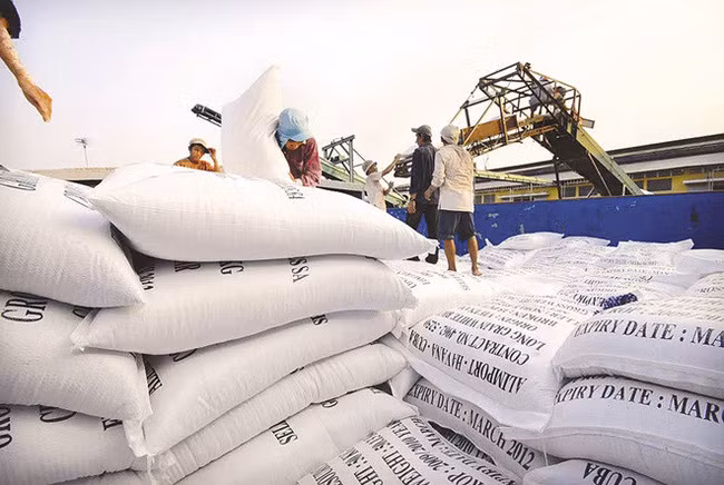 4 mois: 38% du riz d’exportation du Vietnam expédiés aux Philippines ảnh 1