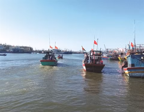 Pêche INN: le Vietnam s’emploie à retrouver la carte verte ảnh 1