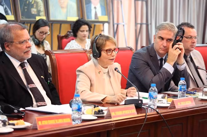 Le Brésil et le Vietnam doivent agir pour exploiter leur potentiel commercial ảnh 1