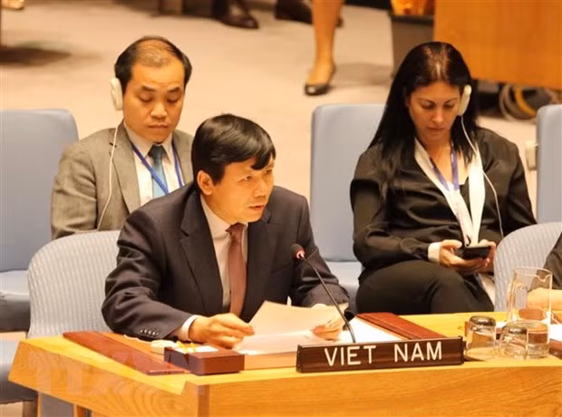 Le Vietnam a une grande chance d’être élu membre non permanent du Conseil de Sécurité ảnh 1