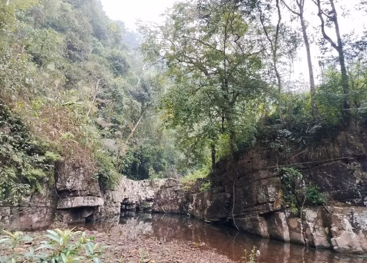 Comment les Dao de Nà Hac protègent-ils leur forêt? ảnh 2