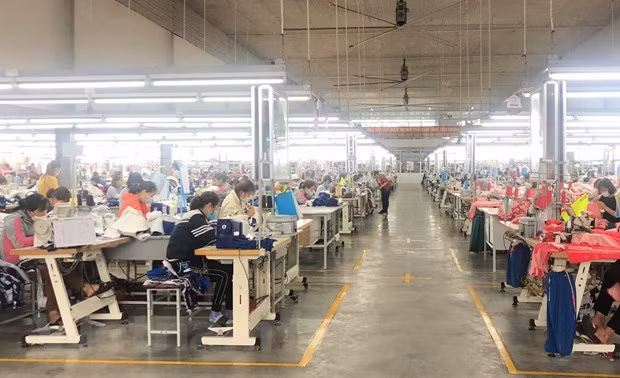 Porter le partenariat stratégique entre le Vietnam et l'Italie à une nouvelle hauteur ảnh 1