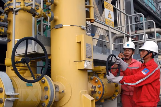 Binh Thuân : présentation des investisseurs des centrales électriques au gaz de Son My ảnh 1
