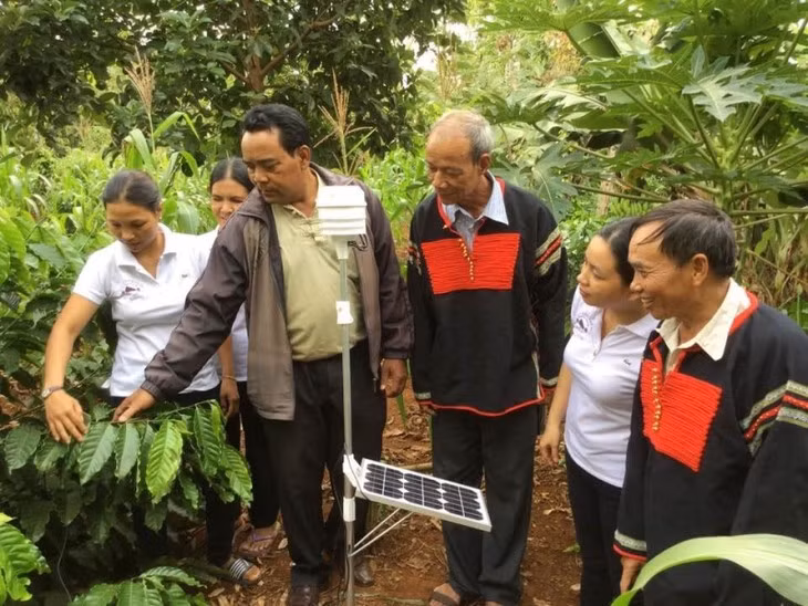 Quand les minorités ethniques de Dak Lak changent de pratiques agricoles ảnh 1