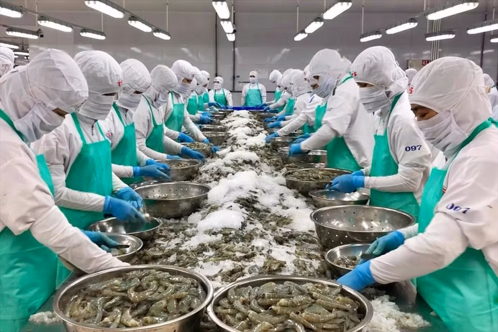 Les Etats-Unis, seul marché à l'export de plus de 10 milliards d’USD en janvier-février ảnh 1