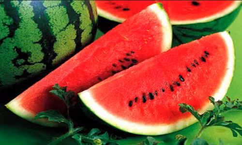 La pastèque, un fruit à l’histoire riche et bourré de bienfaits ảnh 1