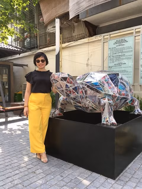 L’art écologique prend ses quartiers à Hanoï ảnh 1