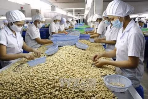 Le Vietnam renforce sa coopération économique avec le Nigéria ảnh 1