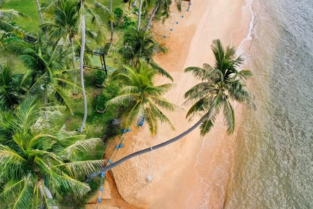 Sun Group investit dans l'hôtel Ritz Carlton Reserve au Vietnam ảnh 4