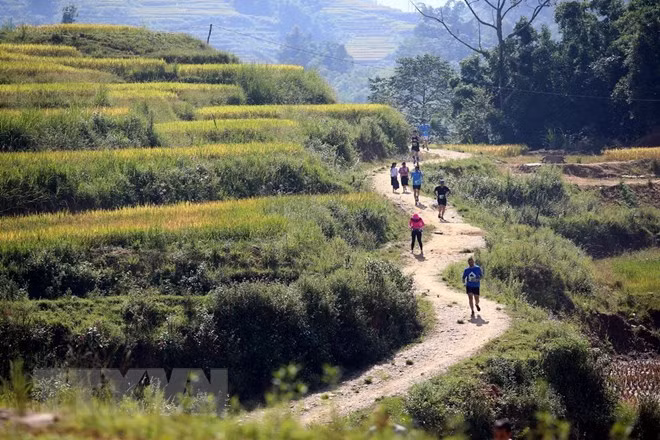 Lao Cai : Plus de 3.100 coureurs au marathon des montagnes du Vietnam 2018 ảnh 1