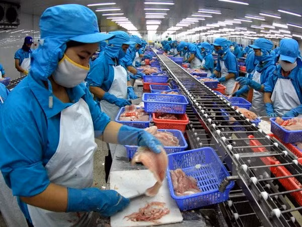 La croissance économique de la région du Sud est 1,5 fois plus rapide que la moyenne nationale ảnh 1