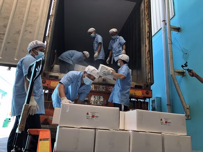 Exportation d’oeufs de canard salés vers l’Australie pour la première fois ảnh 2