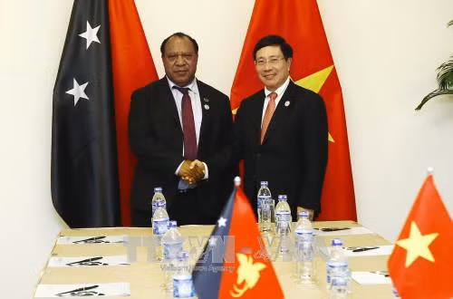 Le Vietnam promeut la coopération avec la Nouvelle-Zélande et la Papouasie-Nouvelle-Guinée ảnh 2