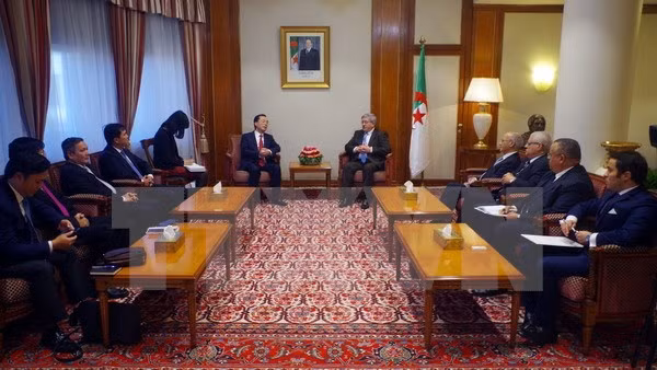 Le Vietnam veut approfondir ses relations commerciales avec l’Algérie ảnh 1