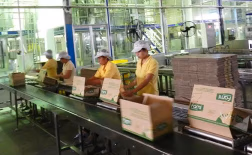 Vinasoy figure parmi les 5 premiers fabricants de lait de soja dans le monde ảnh 1