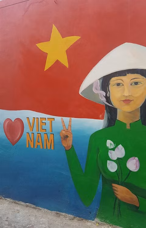 Dà Nang: des fresques murales en plein cœur de la ville ảnh 9